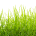 Touch Grass